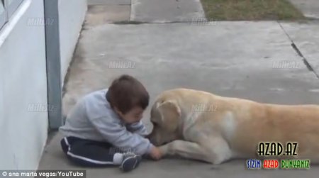 Köpəkdən insanlıq dərsi - -FOTO-VIDEO