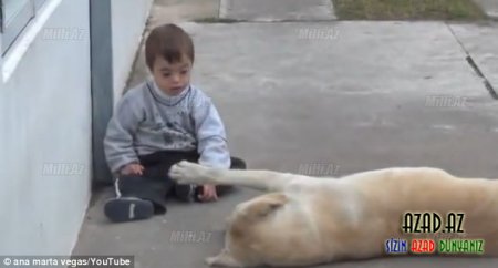 Köpəkdən insanlıq dərsi - -FOTO-VIDEO