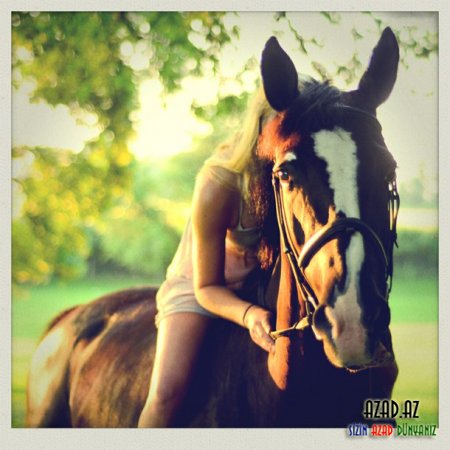My horse - FOTO