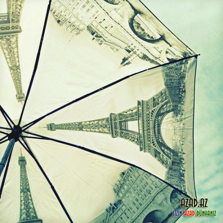 Umbrella..