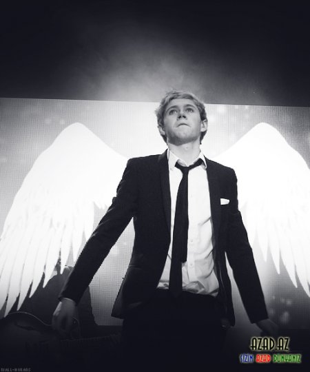 Niall Horan [Photo Collection]