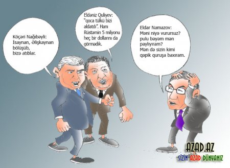 Azərbaycan müxalifəti - Karikaturalarda