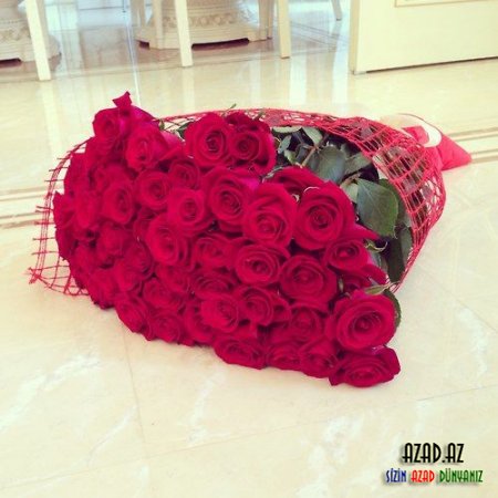 Roses!! - FOTO