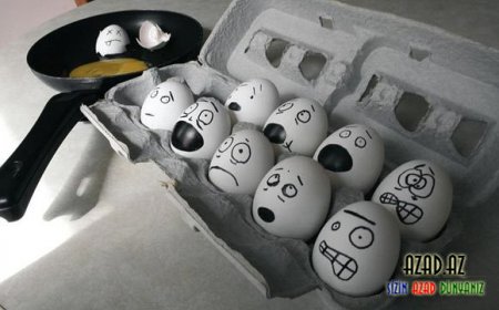 Yumurtalardan maraqlı şəkillər - FOTO