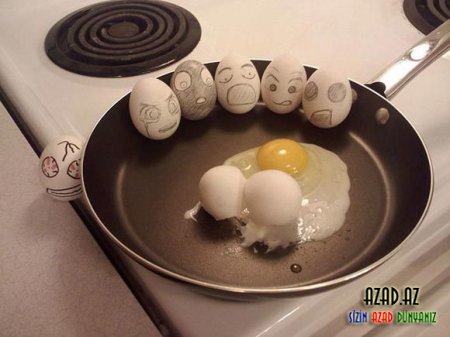 Yumurtalardan maraqlı şəkillər - FOTO