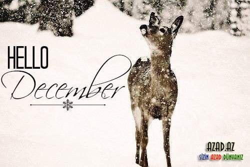 Welcome to December=))