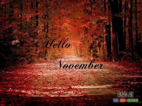 Hello November =)