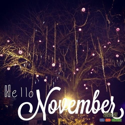 Hello November =)