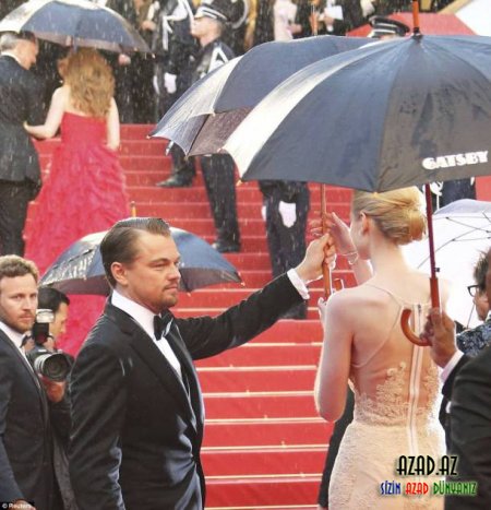 2013 Cannes Film Festivalı